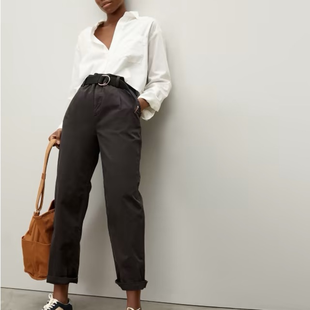 Everlane The Pleated Chino